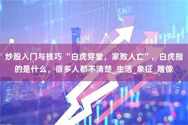 炒股入门与技巧 “白虎穿堂，家败人亡”，白虎指的是什么，很多人都不清楚_生活_象征_雕像