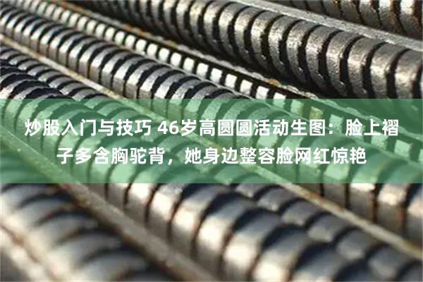 炒股入门与技巧 46岁高圆圆活动生图:脸上褶子多含胸驼背,她身边整容脸网红惊艳