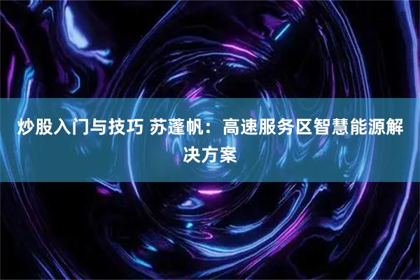 炒股入门与技巧 苏蓬帆:高速服务区智慧能源解决方案