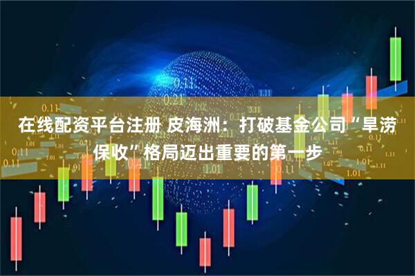 在线配资平台注册 皮海洲：打破基金公司“旱涝保收”格局迈出重要的第一步