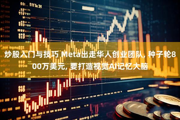 炒股入门与技巧 Meta出走华人创业团队, 种子轮800万美元, 要打造视觉AI记忆大脑