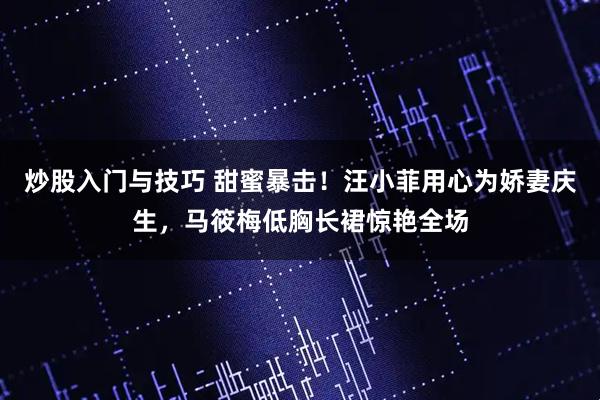 炒股入门与技巧 甜蜜暴击！汪小菲用心为娇妻庆生，马筱梅低胸长裙惊艳全场