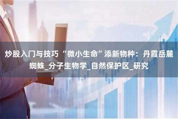 炒股入门与技巧 “微小生命”添新物种：丹霞岳麓蜘蛛_分子生物学_自然保护区_研究